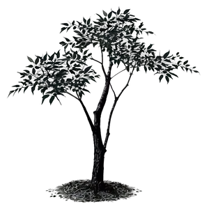 Black Tree With Leaves PNG Guc49