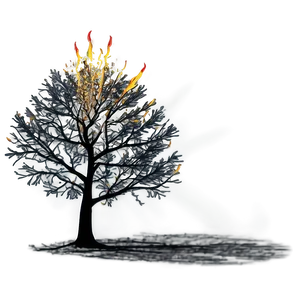 Black Tree With Sunburst PNG 06212024 PNG