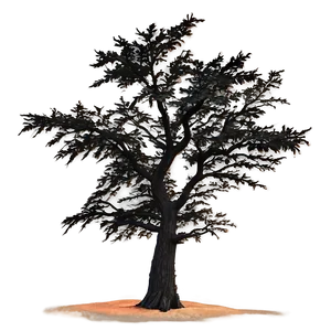 Black Tree With Sunset Background PNG 06212024 PNG