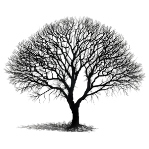 Black Trees And Ravens PNG Kce20 PNG