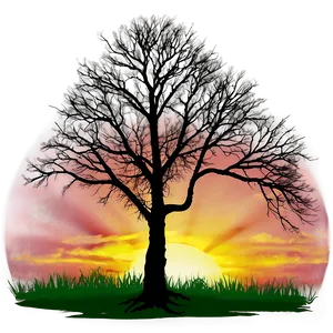 Black Trees And Sunset PNG Abb PNG