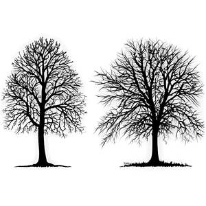 Black Trees In Autumn PNG Qck23 PNG