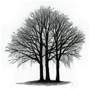 Black Trees In Fog PNG 06292024