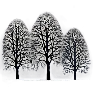 Black Trees In Fog PNG Unp16 PNG