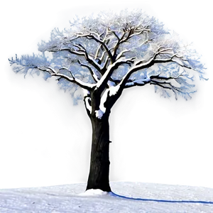 Black Trees In Snow Png 06292024 PNG image