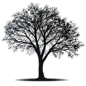 Black Trees Shadow PNG Hqv PNG