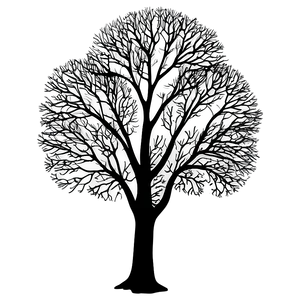 Black Trees Shadow PNG Uhq