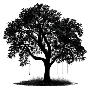 Black Trees Silhouette Png Vxa PNG image