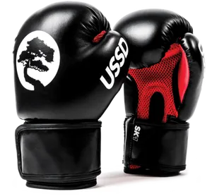Black U S S D Boxing Gloves PNG image