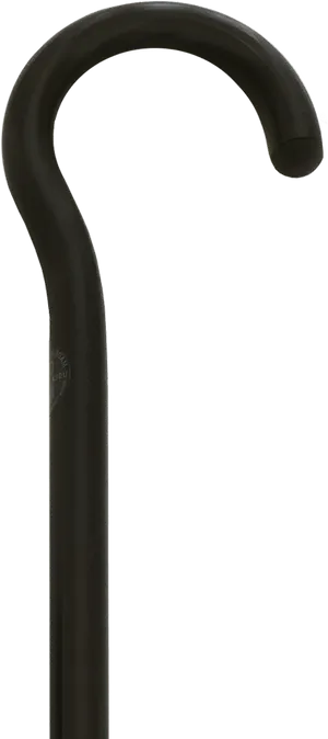 Black Walking Stick Top View PNG image