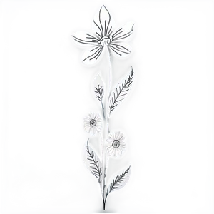 Black White Floral Illustrations PNG 06282024 PNG