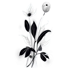 Black White Floral Illustrations PNG 06282024 PNG