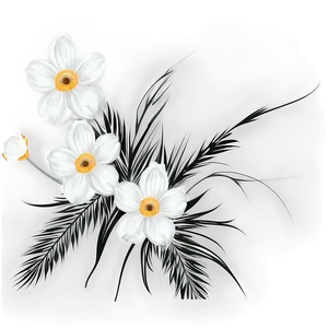 Black White Floral Illustrations PNG 61 PNG