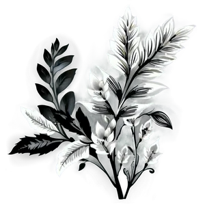 Black White Floral Images Png 9 PNG image