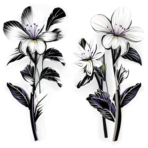 Black White Spring Flowers PNG 53 PNG