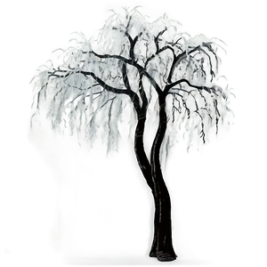 Black Willow Tree PNG 95 PNG
