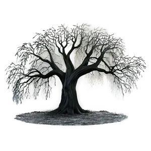 Black Willow Tree PNG Nfy PNG