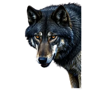 Black Wolf Portrait PNG Ips