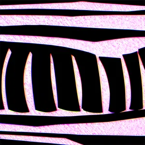 Black Zebra Stripes Png 06272024 PNG image