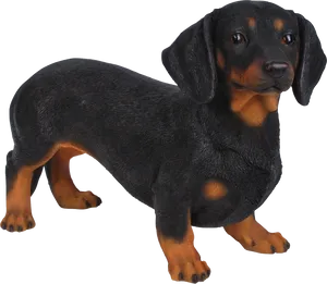 Blackand Tan Dachshund Standing PNG image