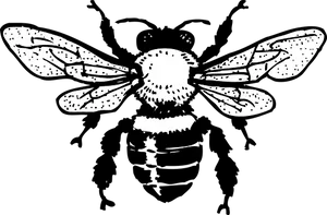Blackand White Bee Illustration PNG image