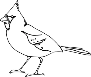 Blackand White Bird Illustration
