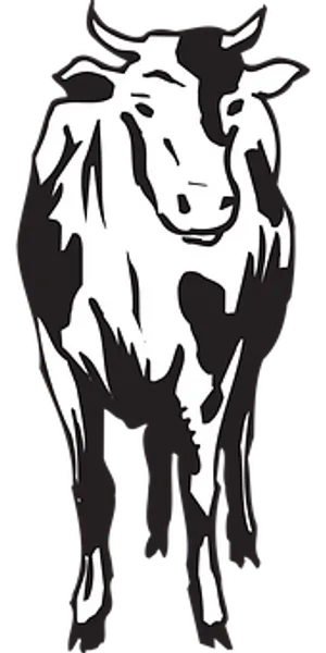 Blackand White Cow Illustration