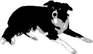Blackand White Dog Silhouette