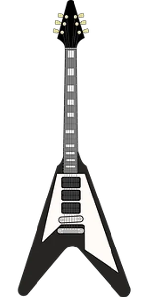 Blackand White Flying V Guitar