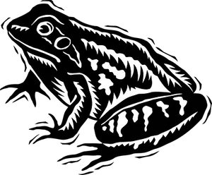 Blackand White Frog Illustration PNG image