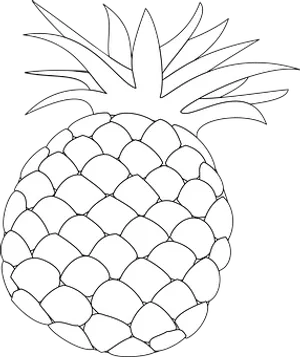Blackand White Pineapple Graphic
