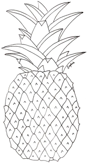Blackand White Pineapple Sketch PNG image