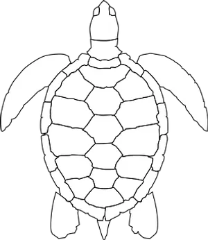 Blackand White Turtle Graphic PNG image