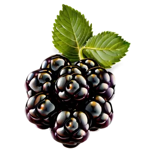 Blackberry Cluster PNG Ipu