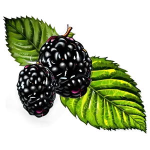 Blackberry Collection PNG Iqg32