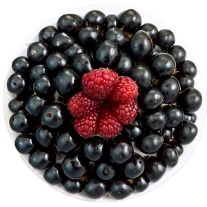 Blackberry Delight PNG Pda PNG