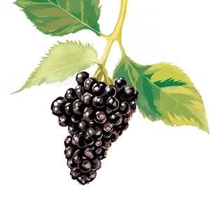 Blackberry Farm PNG 05232024