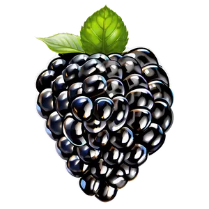Blackberry Freshness PNG Wfn PNG
