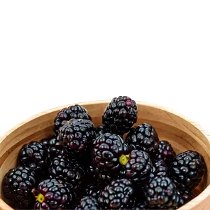 Blackberry Harvest PNG 05232024