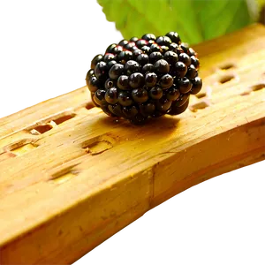 Blackberry Harvest PNG Nkj