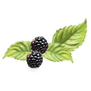 Blackberry Jam Ingredient PNG 05232024