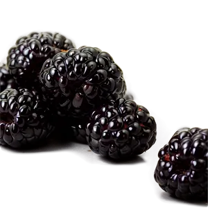 Blackberry Jam Ingredient PNG 05232024