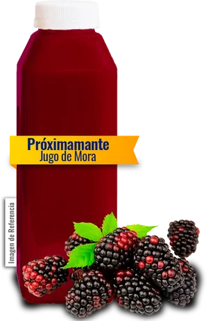 Blackberry Juice Product Preview PNG