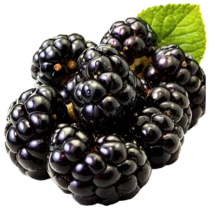 Blackberry Nutrition PNG Mga8 PNG