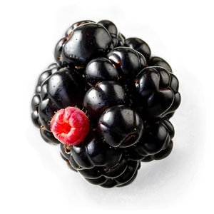 Blackberry Recipe PNG 05232024 PNG