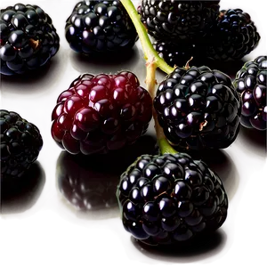 Blackberry Recipe PNG 05232024 PNG