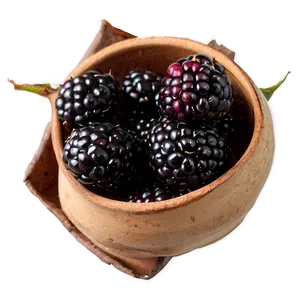 Blackberry Season PNG Dro88 PNG