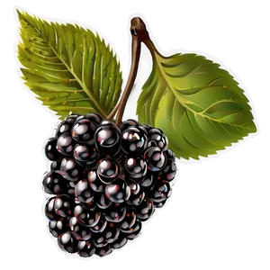 Blackberry Season PNG Sqq PNG