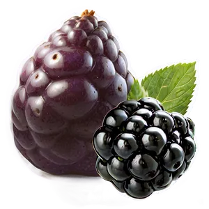 Blackberry Smoothie Ingredient PNG 05232024