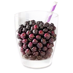 Blackberry Smoothie Ingredient PNG Ltg49